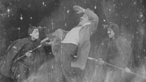 Verrückte Liebe Bild 2