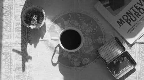 Beauty and Quiet Bild 1