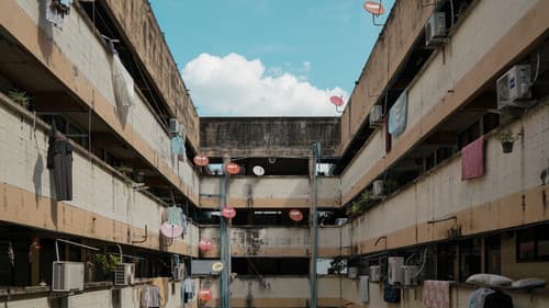 แฟลตเกิร์ล ชั้นห่างระหว่าง เ ร า Bild 7