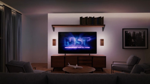 MST : Moyennement Sûr du Titre Bild 2