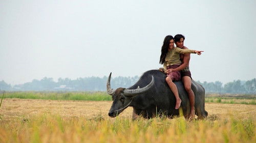 แผลเก่า Bild 2