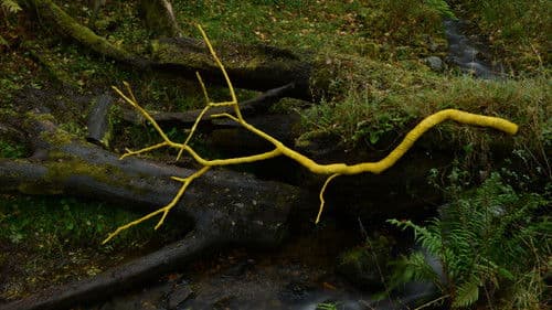 Leaning Into the Wind: Andy Goldsworthy Bild 4