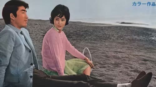 今夜は踊ろう Bild 1