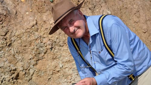 Fossil Wonderlands: Nature's Hidden Treasures Bild 1