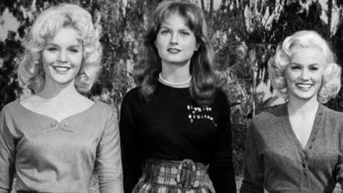 Sex Kittens Go to College Bild 1