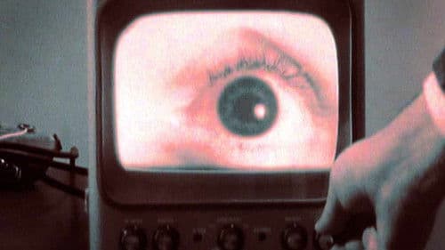 All Watched Over by Machines of Loving Grace Bild 3