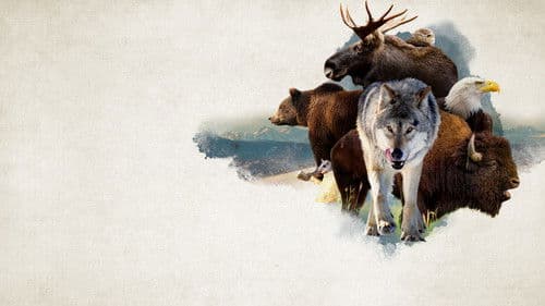 Das schöne Amerika Bild 6