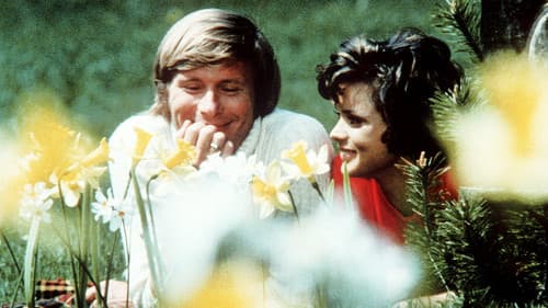 Hilfe, die Verwandten kommen Bild 1