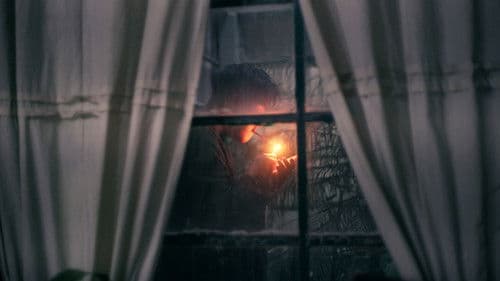 Anatomía del sentimiento Bild 1