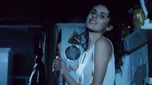 Die Waschmaschine Bild 2