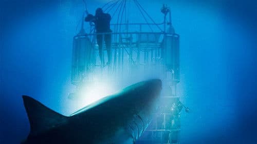 Shark School with Michael Phelps Bild 5