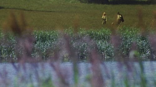 … unterm Holderbusch Bild 1