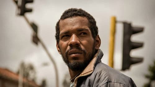 La sociedad del semáforo Bild 2