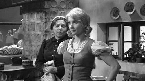 Lesní ženka Bild 2