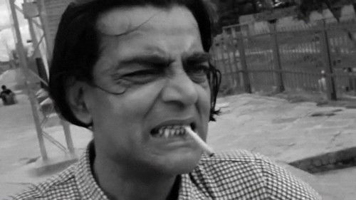 চিড়িয়াখানা Bild 4