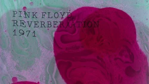 Pink Floyd: The Early Years, Vol 5 - Reverber/ation Bild 3