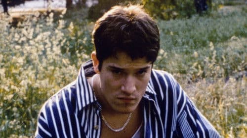 Boricua's Bond Bild 2