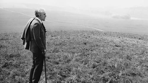 Der verlorene Engel Bild 2