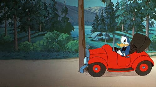 Happy Camping Bild 4