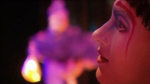 Cirque du Soleil: Varekai Bild 3