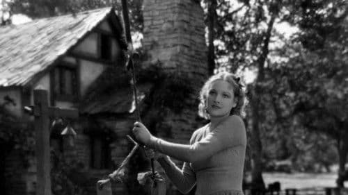 The Great Meadow Bild 4