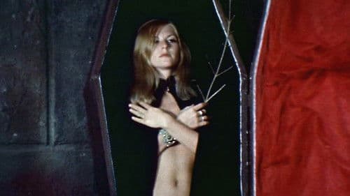 Terror at Orgy Castle Bild 1