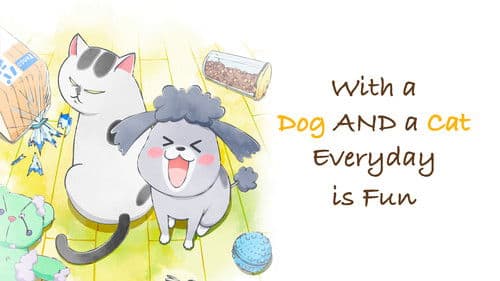 Inu to Neko Docchi mo Katteru to Mainichi Tanoshii Bild 3