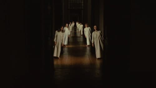 Rosa de Areia Bild 7