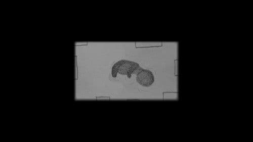 Nacimientos Animados: 2 Bild 2