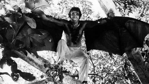 The Twilight People Bild 1