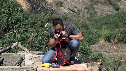 America Unplugged Bild 2