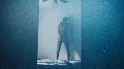 Cuentos de chacales Bild 3