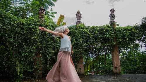 Guerra de Algodão Bild 6