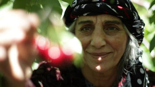 بێ وەرز Bild 2