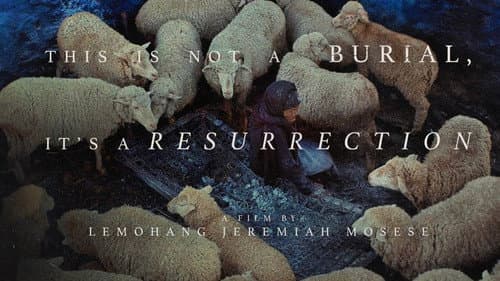 This Is Not a Burial, It's a Resurrection Bild 6