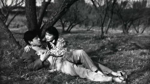 盗まれた欲情 Bild 1