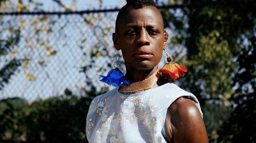 Rhapsody in Justice Bild 1