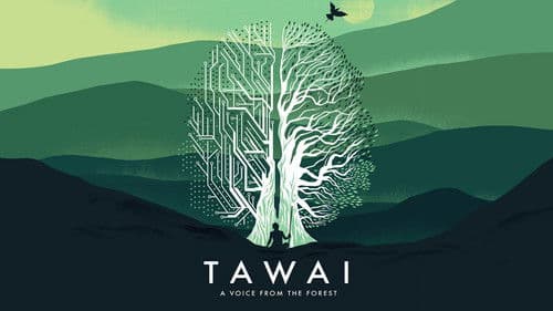Tawai: A Voice from the Forest Bild 2