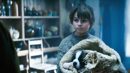 Mein Freund Barry Bild 1