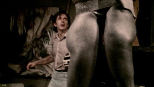 The Affairs of Janice Bild 3