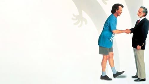 Was ist mit Bob? Bild 3