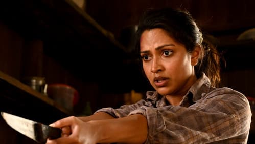 ലെവെൽ ക്രോസ് Bild 2