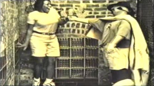 The Rainbow Avenger Bild 1