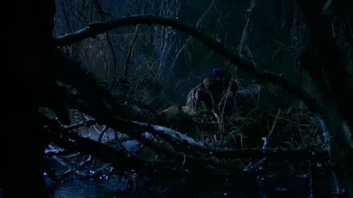 Im Bann des Kalifen Bild 6