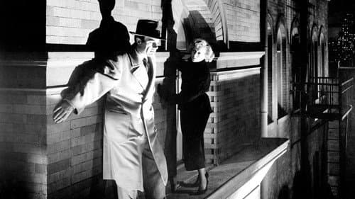 The Killer That Stalked New York Bild 1