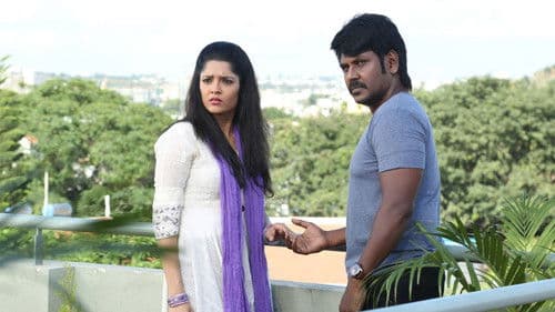 சிவலிங்கா Bild 6