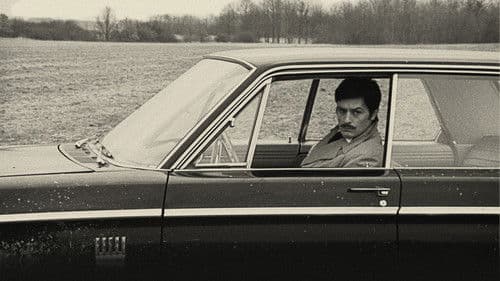 Vier im roten Kreis Bild 2