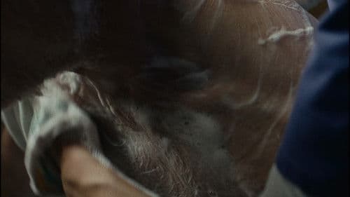 Würdenbewahrerin Bild 1