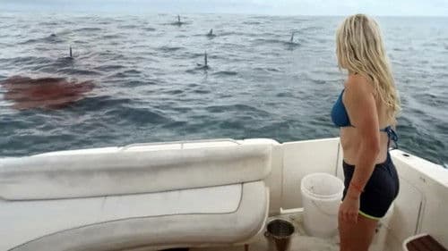 Great White Waters Bild 2