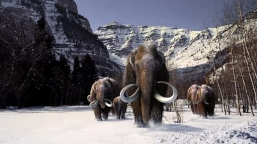 The Mammoth. Titan of the Ice Age Bild 1